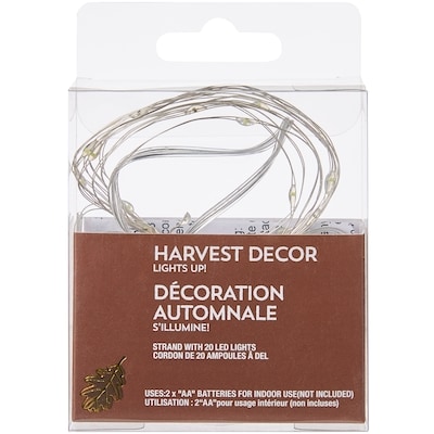 null Décoration automnale de cordon de 20 ampoules à DEL – blanc 1 ea, 4,00 $/1ch