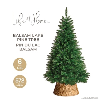 6-ft Balsam Lake Fir Tree