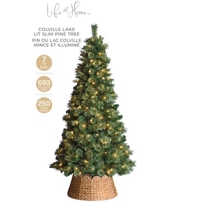 Sapin mince préilluminé Colville Lake 7 pi