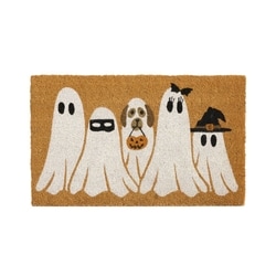 null Paillasson en fibre de coco 18 po x 30 po – Motif fantômes 1 ea, 20,00 $/1ch