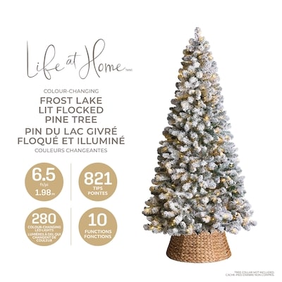 Sapin Frost Lake givré et préilluminé à couleurs changeantes
