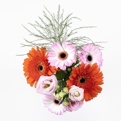 null Small Gerbera Daisy Bouquet 1 ea, $10.00/1ea