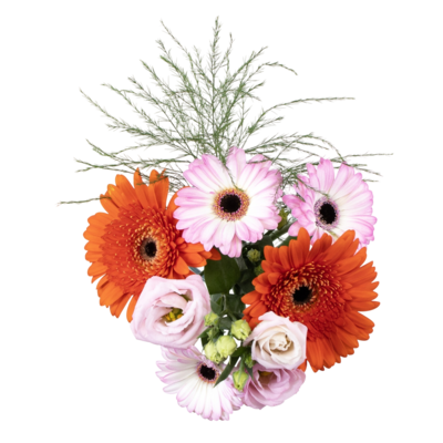 null Petit bouquet de gerberas 1 ea, 10,00 $/1ch