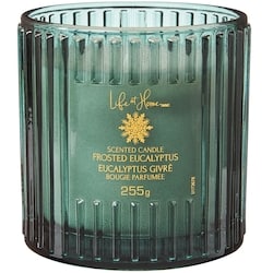 Life at Home Bougie parfumée Eucalyptus givré 1 ea, 12,00 $/1ch