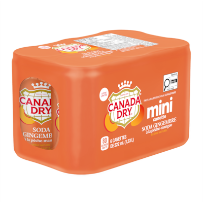 Soda Gingembre à La Pêche-Mangue