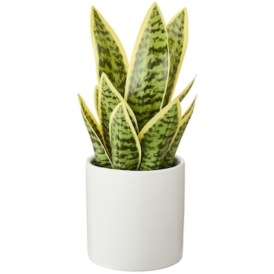 Life at Home Faux Snake Plant with Pot 1 ea, $20.00/1ea