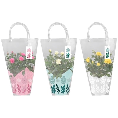 null 6 Inch Mini Rose in Gift Bag 1 ea, $18.00/1ea