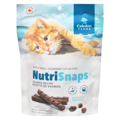 Cat Treats Salmon Recipe