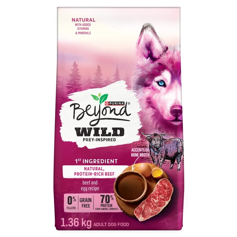 healthiest wet cat food for indoor cats 4health with Wholesome Grains Adult Chicken Formula Wet Cat Food, 5.5 oz