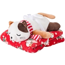 Life at Home Ensemble 2 pièces avec peluche et couverture pour enfants – chat 1 ea, 20,00 $/1ch