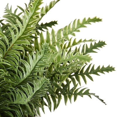 Faux Fern Plant with Pot
