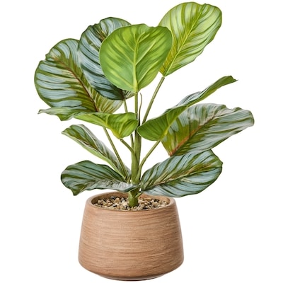 Life at Home Faux Calathea Plant with Pot 1 ea, $25.00/1ea