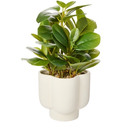 Life at Home Faux Peperomia Plant with Pot 1 ea, $20.00/1ea