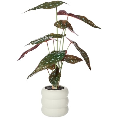 Life at Home Faux Spotted Begonia Plant with Pot 1 ea, $30.00/1ea