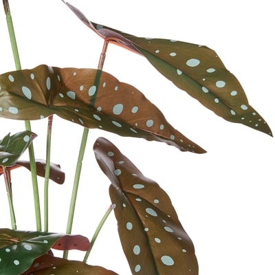 Faux Spotted Begonia Plant with Pot