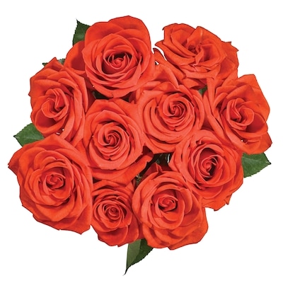 null Rose Bouquet 10 Stems 1 ea, $20.00/1ea