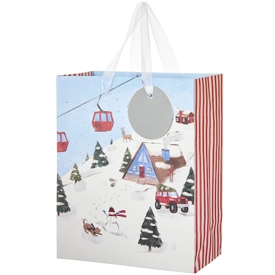 Life at Home Medium Gift Bag - Hit the Slopes 1 ea, $2.00/1ea