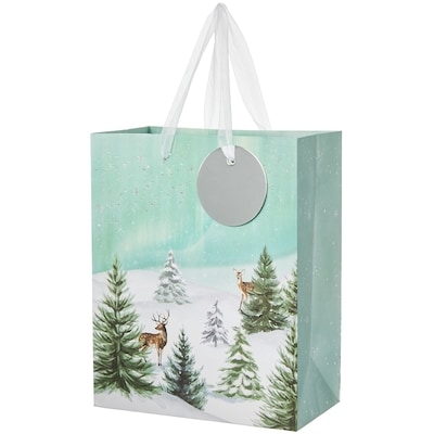Life at Home Medium Gift Bag - Winter Scene 1 ea, $2.00/1ea