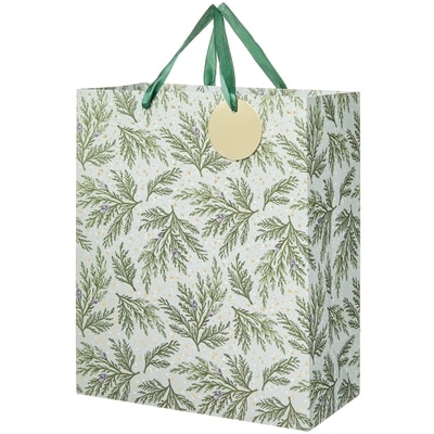 Life at Home Large Gift Bag - Cypress 1 ea, $2.50/1ea