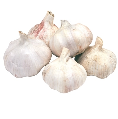Garlic, 5 Count