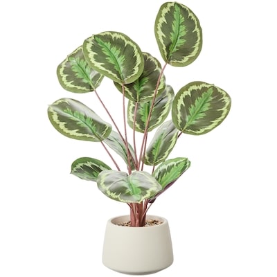 Life at Home Faux Calathea White Fusion Plant with Pot 1 ea, $30.00/1ea