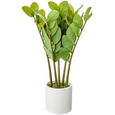 Life at Home Faux Zanzibar Gem Plant with Pot 1 ea, $30.00/1ea