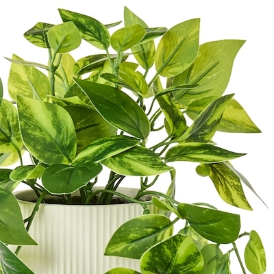 Faux Devil's Ivy Plant with Pot