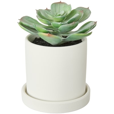 Life at Home Faux Echeveria Succulent Plant with Pot 1 ea, $12.00/1ea