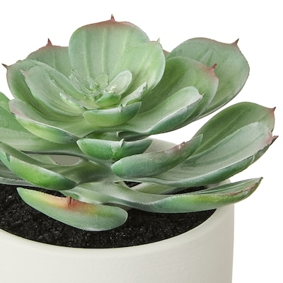 Faux Echeveria Succulent Plant with Pot