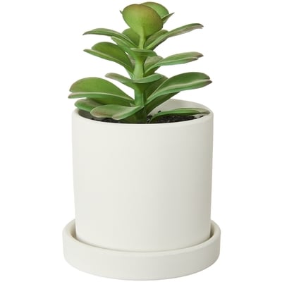 Life at Home Faux Jade Succulent Plant with Pot 1 ea, $12.00/1ea