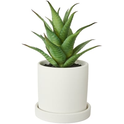 Life at Home Faux Zebra Haworthia Plant with Pot 1 ea, $12.00/1ea