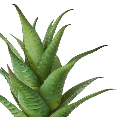 Faux Zebra Haworthia Plant with Pot