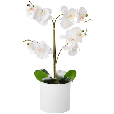 Life at Home Faux White Orchid with Pot 1 ea, $30.00/1ea
