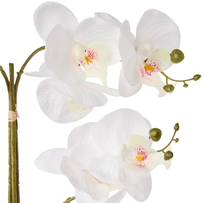 Faux White Orchid with Pot