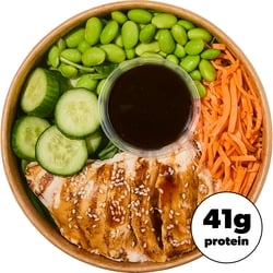 null Généreux bol de poulet teriyaki 380 g, 2,63 $/100g