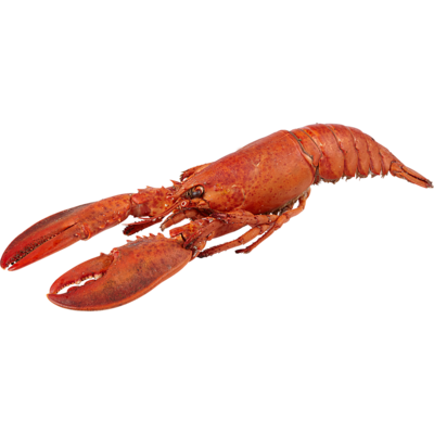 null Previously Frozen Whole Cooked Lobster $35.27/1kg