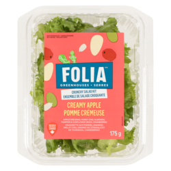 null Ensemble de salade croquante pomme crémeuse 175 g, 3,42 $/100g
