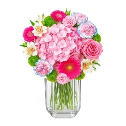 null Vanderpump Gardens, Diamond Vase Arrangement 1 ea, $50.00/1ea