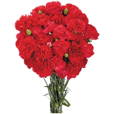 President's Choice Mini Carnation Bunch 1 ea, $12.00/1ea