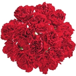 Bouquet d’œillets