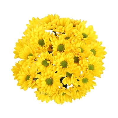 President's Choice Chrysanthemum Bunch 1 ea, $12.00/1ea