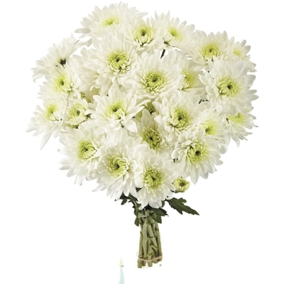 le Choix du Président Bouquet de chrysanthèmes 1 ea, 12,00 $/1ch