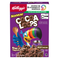Kellogg’s Céréales 261 g, 1,92 $/100g