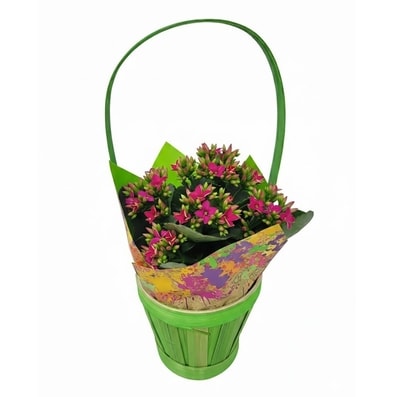 null Assorted Blooming Basket 1 ea, $10.00/1ea