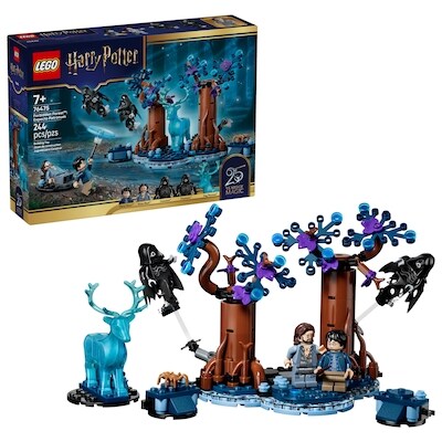 LEGO Harry Potter La Forêt Interdite : Expecto Patronum 76475 1 ea, 50,00 $/1ch