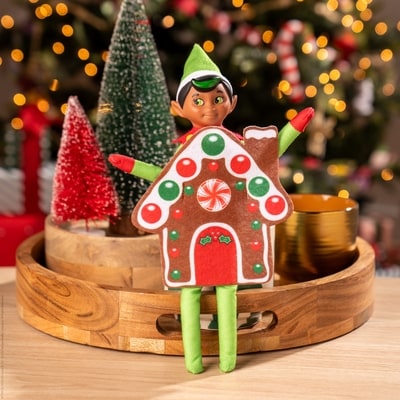 Cozy Costume: Gingerbread House