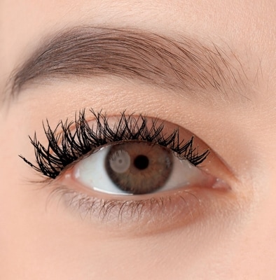 Strip Lash Dreamer