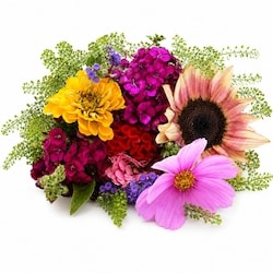 null Local Field Flower Bouquet 1 ea, $27.00/1ea