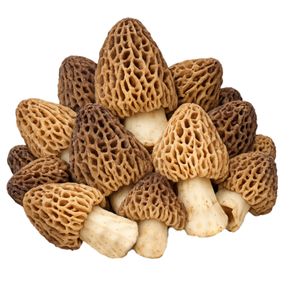 null Fresh Morel Mushrooms $132.26/1kg