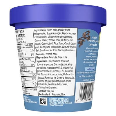 Carré au Fudge Yogourt Grec Glacé